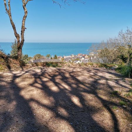 Villa Au Courtil Des Chenes Marins, Meuble 3 Etoiles Digosville Exterior foto
