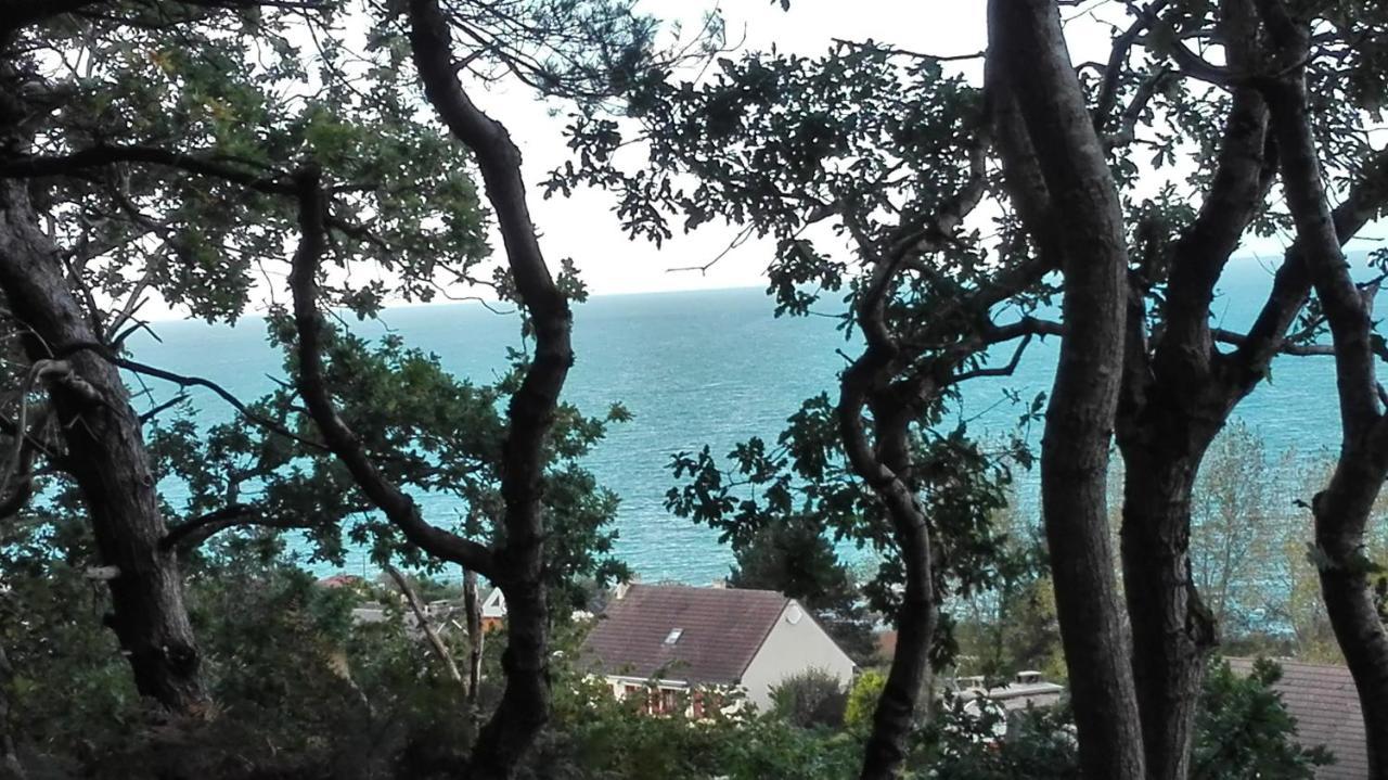 Villa Au Courtil Des Chenes Marins, Meuble 3 Etoiles Digosville Exterior foto